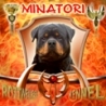 Аватар для Minatory