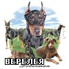 Аватар для верелея